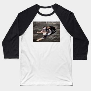 Australian Shepherd Baseball T-Shirt